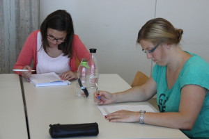 Esslingen student advisors fill in the Delphi Questionnaire